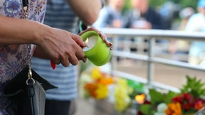 Wenn Wildfremde Vertrauen zueinander fassen