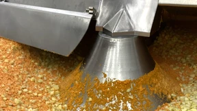 Frosta verkauft jetzt Karottenkuchen aus Gemüseschnipseln