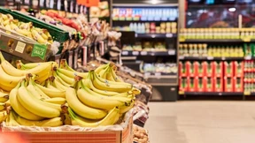Gegen sich selbst gerichtete Schleifmaschine