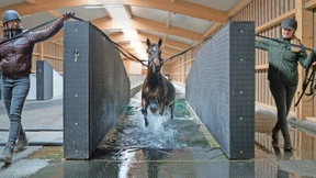 „Brauchen Pferde Urlaub?“