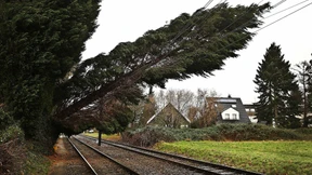 Verzögerungen und Ausfälle im Bahnverkehr