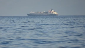 Tausende Rinder harren seit Wochen auf Schiff aus