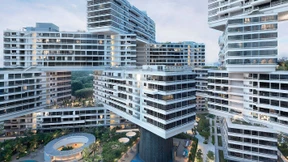 Aus dem Großstadt-Dschungel in die Dschungel-Großstadt