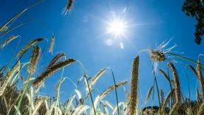 Deutscher Wetterdienst warnt vor besonders starker UV-Strahlung