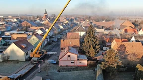 „Wir suchen das ganze Jahr über geeignete Weihnachtsbäume“