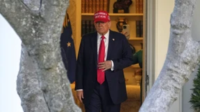 Was Trump sagt, das stimmt