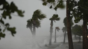 Hurrikan „Nicole“ auf dem Weg zur US-Ostküste