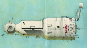 Die Taiga fliegt auch im Weltraum immer mit