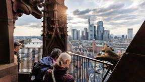 Der schönste Ausblick in Rhein-Main