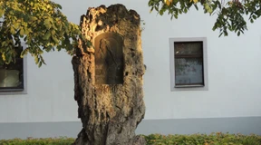 Das Stiftchen im Reichstag