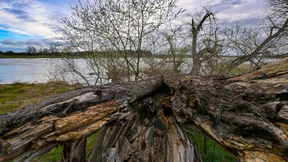 Das ganze Bild hat Lücken