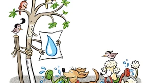 Das Sterben der Bäumchen