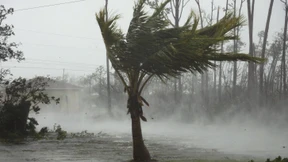 Mindestens fünf Tote auf den Bahamas