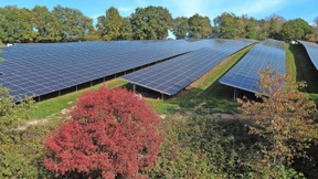 Günstiger Strom aus der Nachbarschaft