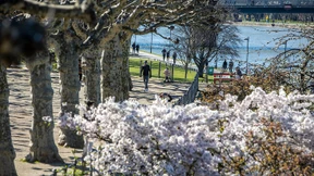 Sommerliche Temperaturen mit gefährlichem Nebeneffekt