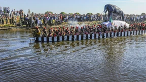 Ein Königreich für den Tierschutz