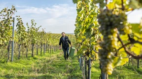 Was Liechtenstein mit seiner Private-Equity-Gesellschaft vorhat