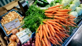 Finanzexperten erwarten spürbar sinkende Inflation im Euroraum