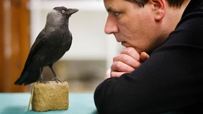 „Schnee“ von Marcel Beyer