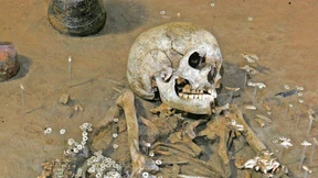 Multikulti schon in der Steinzeit