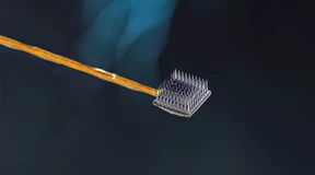 Die Gedanken eines Eingeschlossenen