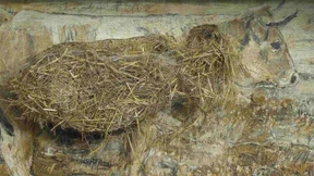 Aufatmen in kalter Luft