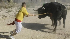 Der peinliche Stier der Sozialisten