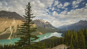 Unbekannter schießt deutschem Touristen in den Kopf