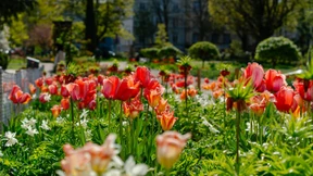Sommerwetter für Hessen