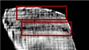 Geisterstunde für die Schriftkultur