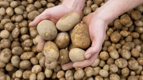 Was kosten Lebensmittel?