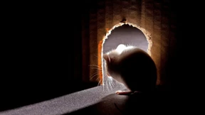 Raus aus der Schamzone!