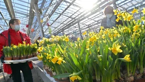 Lockdown bis 28. März, aber weitere Öffnungsschritte?