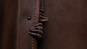 Wo sind sie wohl zu finden?