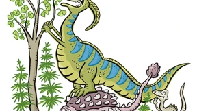 Die Lösung der Ginkgo-Rätsel