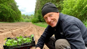 Es kann nur eine Wurzel geben