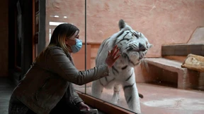 Haben Zootiere ihre Besucher vermisst?