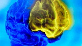 „Erst die Arbeit macht uns zu Menschen“