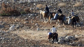 Wir heiraten euch, dann könnt ihr alle hierbleiben