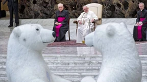 Eisbären bei Papstaudienz