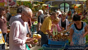 Schaut her, was ich Wunderbares aufgetrieben habe 