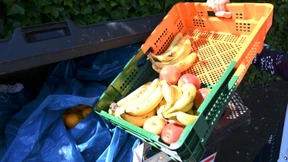 Foodsaver geben uns den Rest