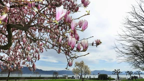 Von einem bis 22 Grad ist alles dabei