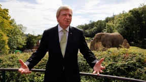 Lieber Elefant als Haifisch