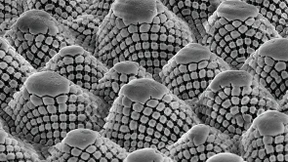  Ein perfekter Nässeschutz