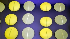 Mit Brustimplantaten auf Wachstumskurs