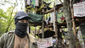 Wie Besetzer den Wald am Langener Waldsee retten wollen