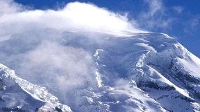 Neue Lebensräume sprießen in luftigen Höhen