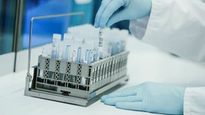 Ein Höllenhund und sein Verwandter