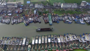 Die große Ernüchterung